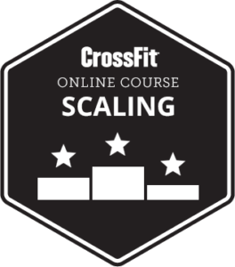 Scaling course